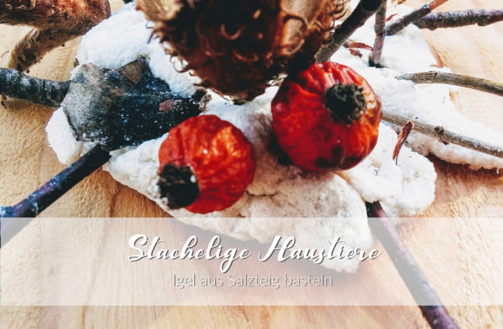 Igel aus Salzteig