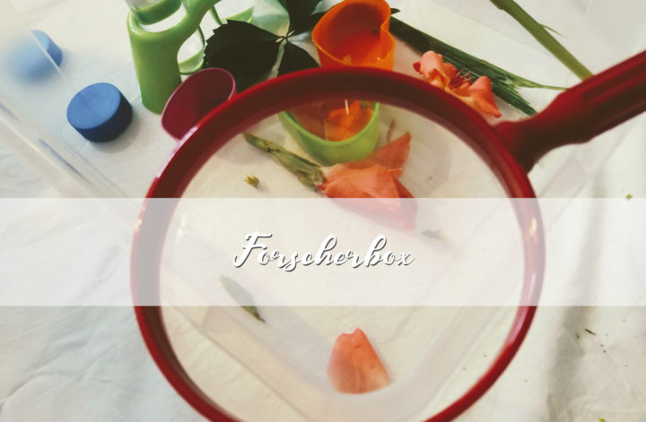 forscherbox