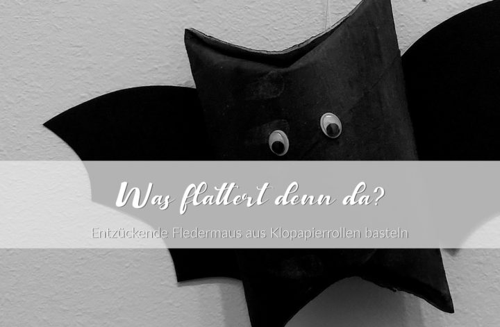 Fledermaus basteln